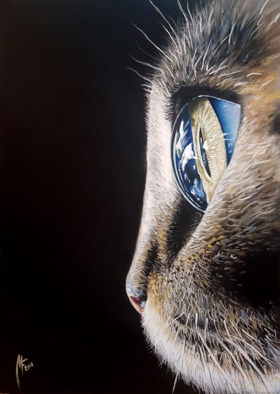 Chat Pastel