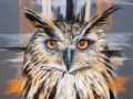 Hibou Web