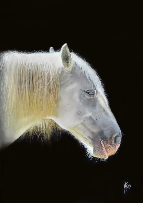 LeChevalDeGuedelon WEB