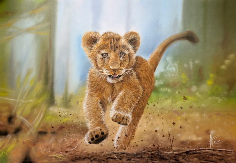 LionSaut WEB